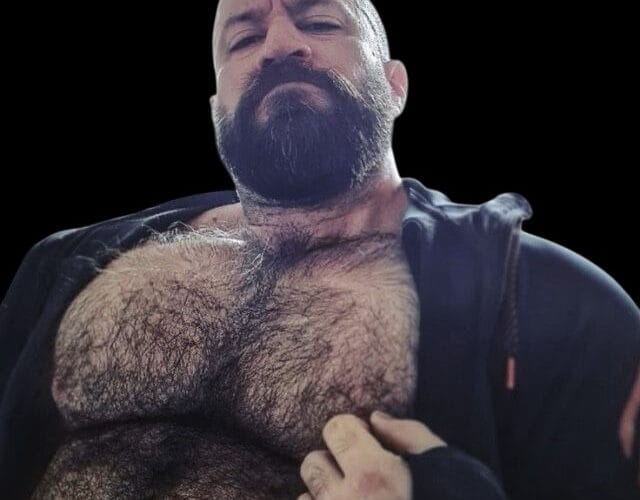 Destaca como un macho maduro discreto